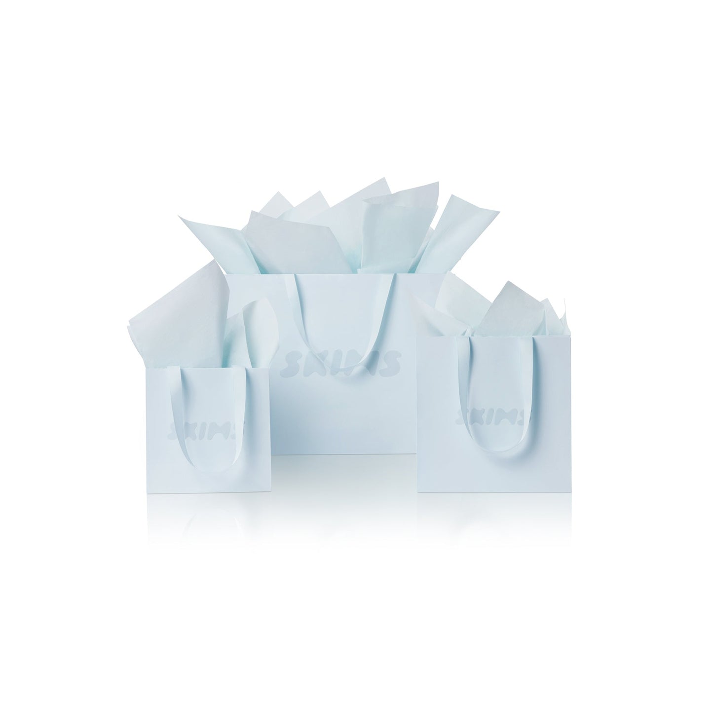 GIFT BAG | BABY BLUE